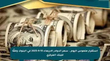 استقرار ملموس اليوم.. سعر الدولار الأربعاء 10-9-2025 في البنوك وفقًا للبنك المركزي